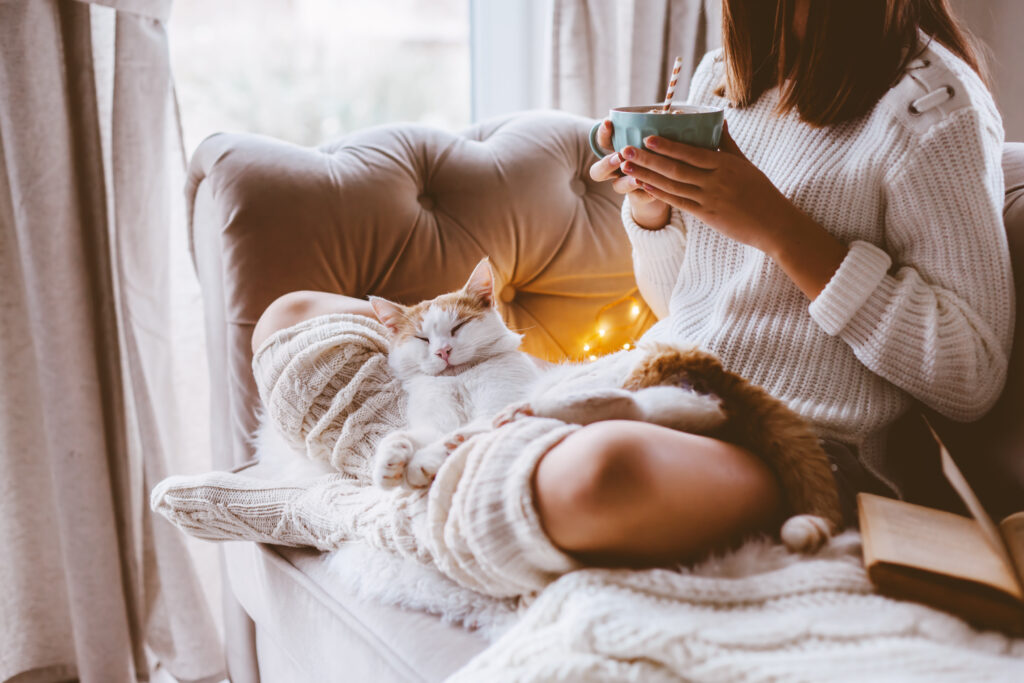 Fall Couch Care: Keeping Your Favorite Spot Clean and Cozy - Schaible's ...