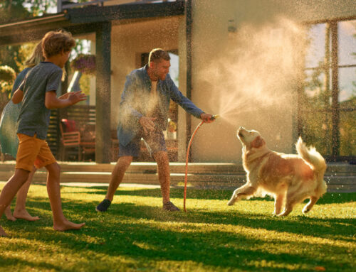 Summer Stains 101: Beating Sweat, Sunscreen, and Chlorine on Your Clothes
